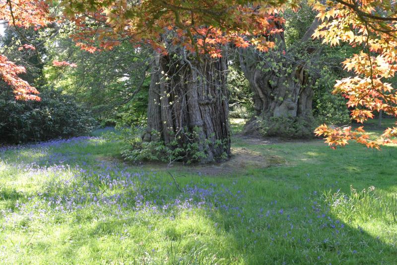 Sheffield Park and Garden